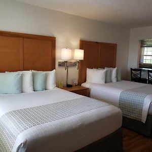 Studio Premium Lit Queen-Size